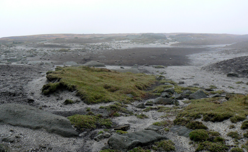 Kinder Low Kinder Low